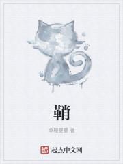 鞘是什么意思