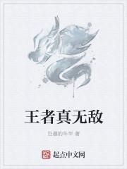 我想王者无敌