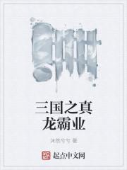 三国之龙象