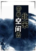 带着空间去北宋TXT百度资源