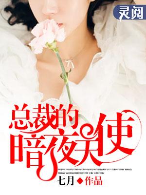 暗夜总裁倾兽