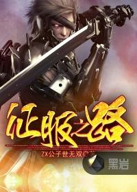 征服之路TXT