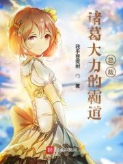 作者诸葛大力作品集