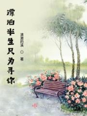 漂泊半生生歌词