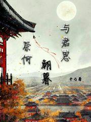 奈何相逢不识君全文免费阅读