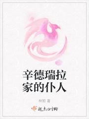 辛德瑞拉2