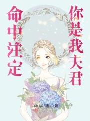 命中注定属于你免费阅读