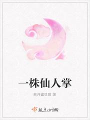 一株仙人掌的力量阅读答案