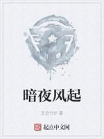 暗夜斩风