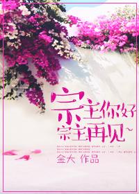 宗主完结