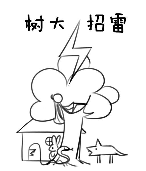 树大招雷劈人狂