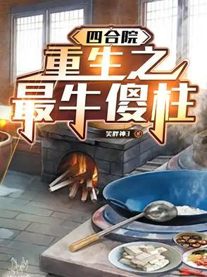 重生四合院致傻柱