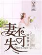 妻不可负