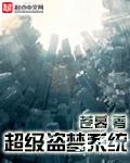 超级盗贼系统