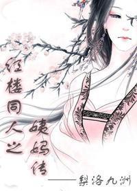 红楼同人之姨妈传梨落九洲
