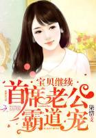 首席老公霸道宠宝贝继续系列