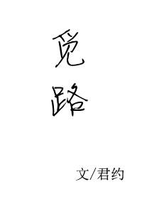 觅路者属于什么档次