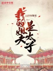 我的姐夫是太子校对版