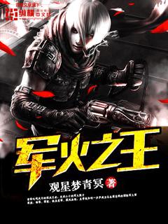 军火之王我给国家送装备