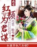君为红颜醉红颜为君泪是什么意思