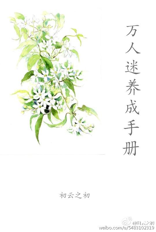 养成万人迷主角后
