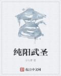 纯阳武圣txt