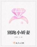 历总小娇妻她又跑