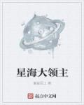 星海领主起点