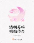 清朝苏嘛喇姑传奇txt