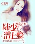陆少霸爱甜宠妻