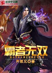 霸者无双第95集
