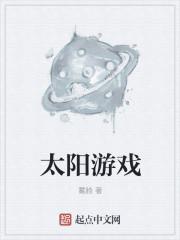 太阳游戏密码