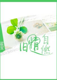旧情自燃蓝宝全文阅读