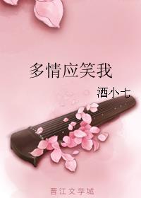 多情应笑我一尊还酹江月