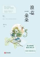 浪花一朵朵电视剧歌