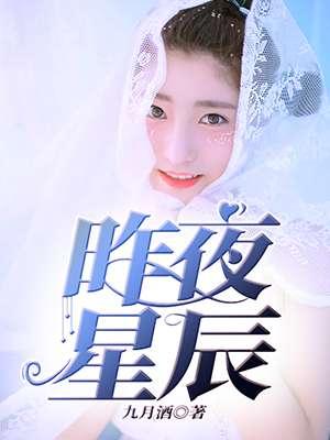 昨夜星辰这首歌表达什么意思